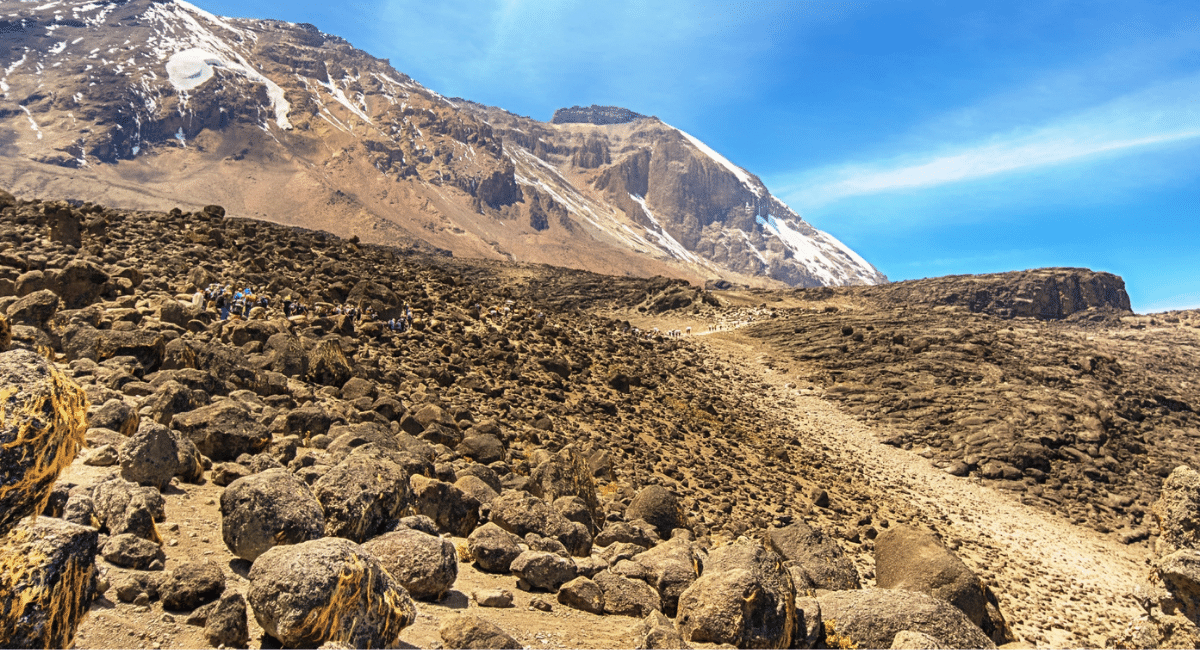  Mt. Kilimanjaro 