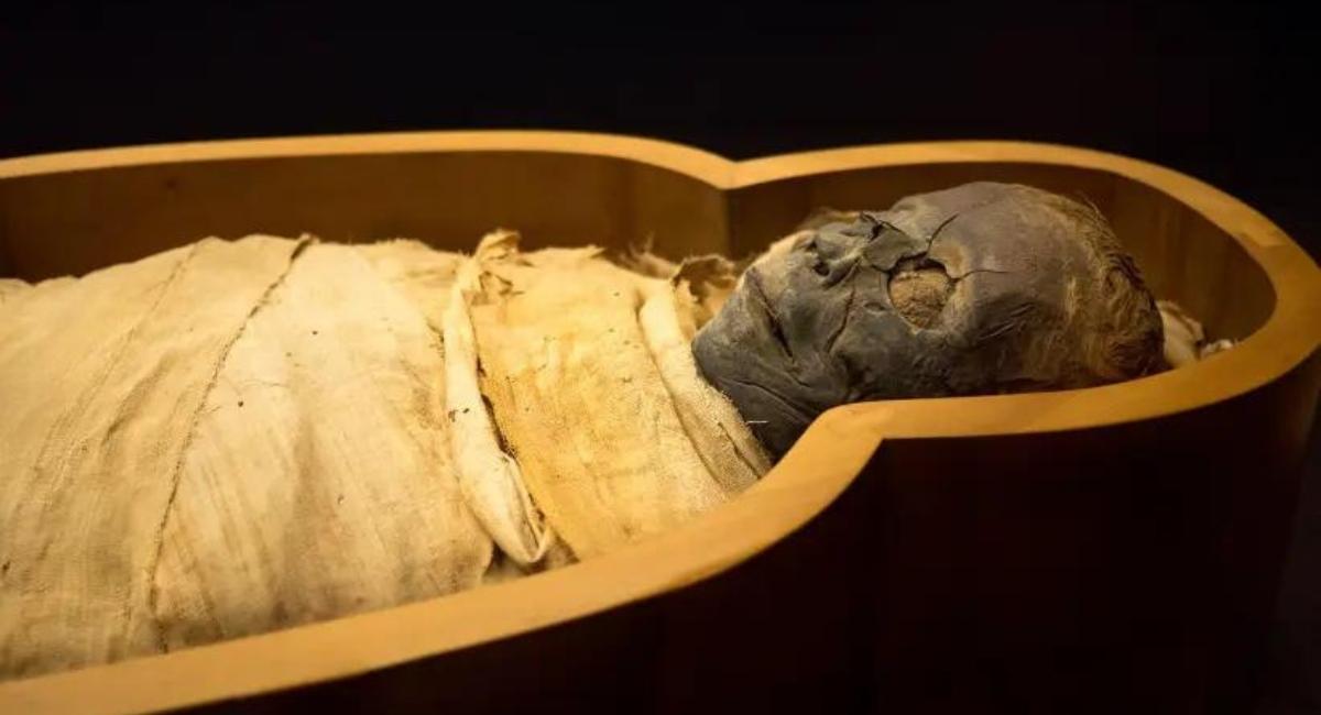 South American Mummies