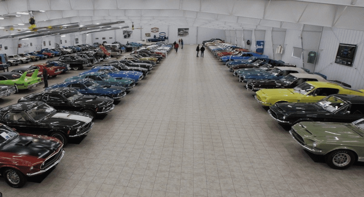 Amazing car collection 
