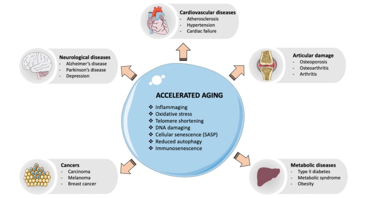 Disease-Related Accelerated Aging