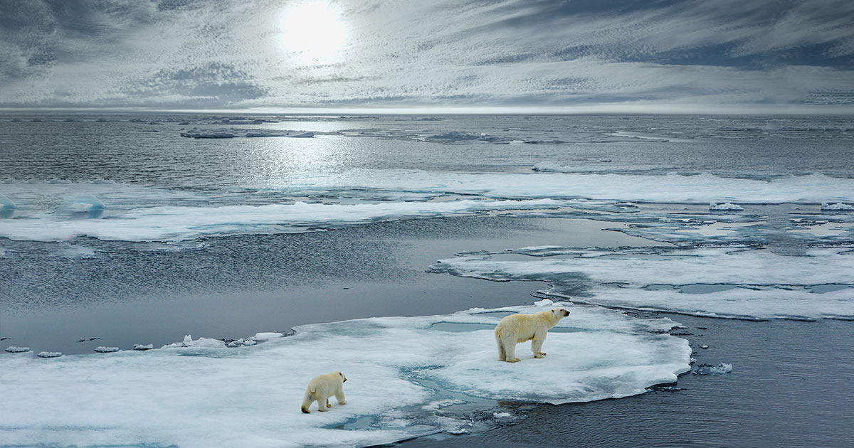 Arctic Ocean's increasing acidity melting the ice there?